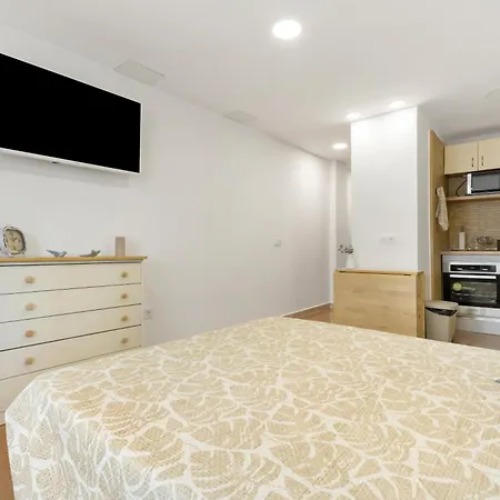 Paraiso Playa Jardin Apartment